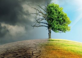 Un invierno fuera de lo común: la UACJ explica el clima atípico que vive Ciudad Juárez