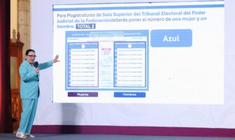 Taddei justifica omisiones en candidaturas ligadas al narco