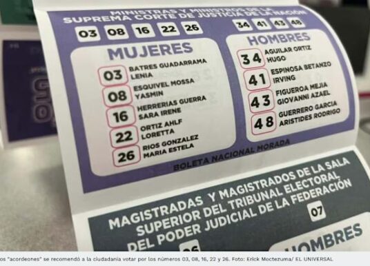 Ministro Reyes Rodríguez propone anular elección de ministros por uso de ‘acordeones’