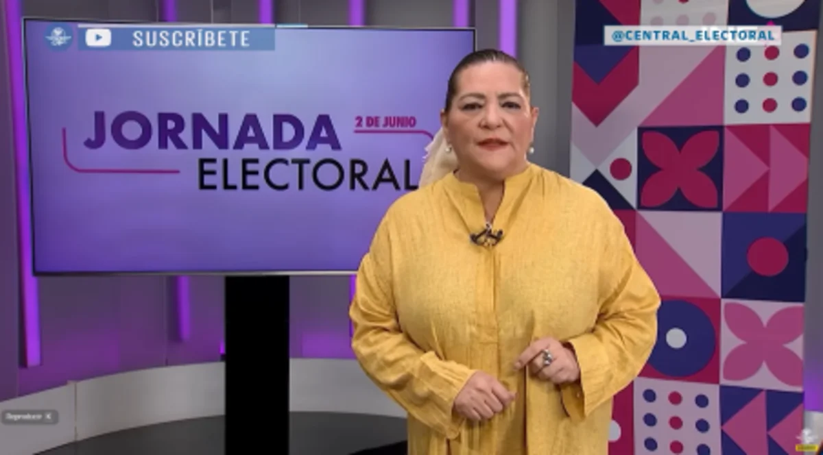 Formaliza Taddei su renuncia al INE ante la Cámara de Diputados